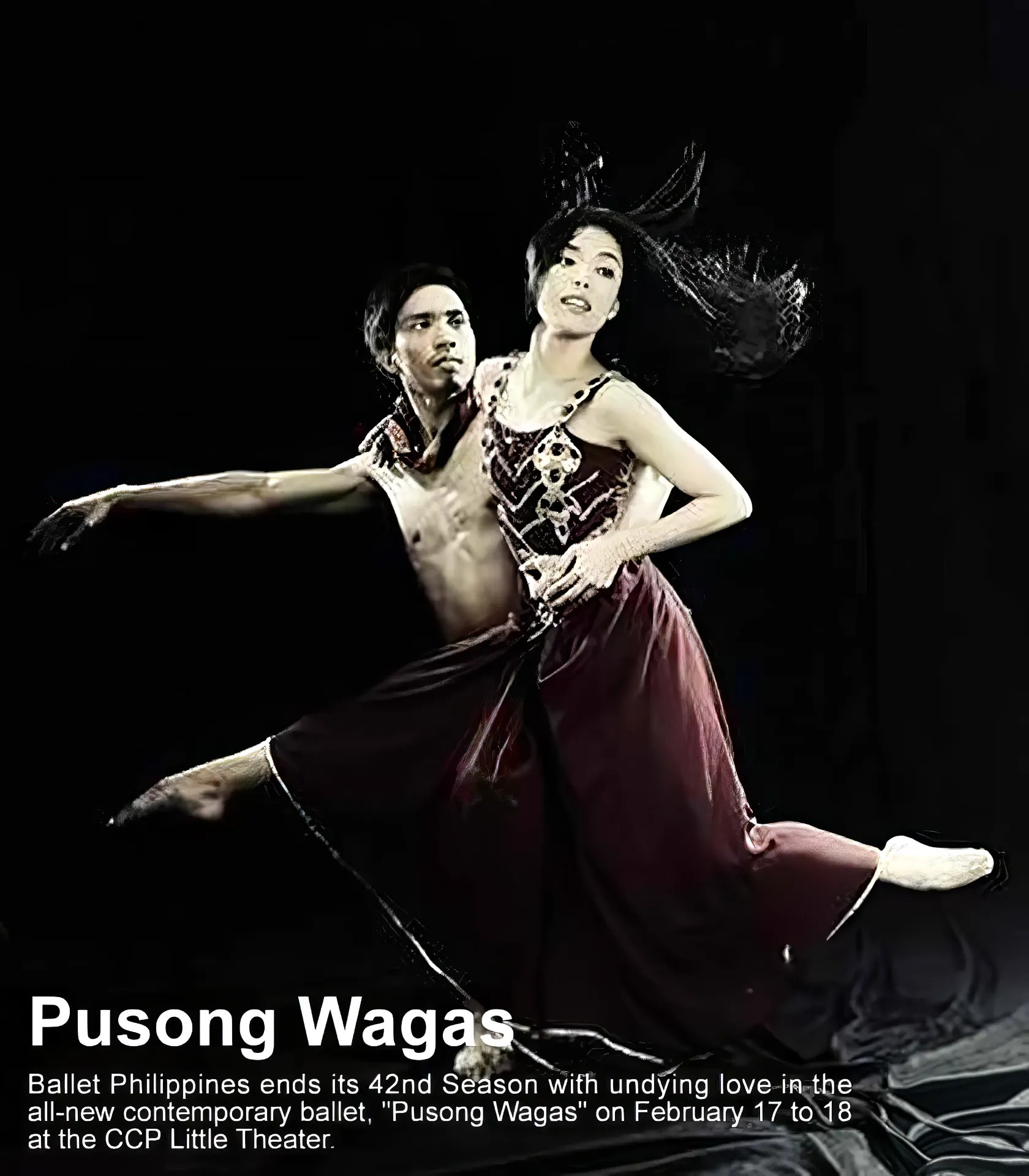 Multi-Camera Video Coverage Services