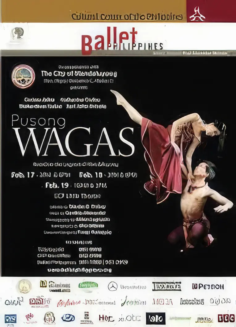 Multi-Camera Video Coverage Services